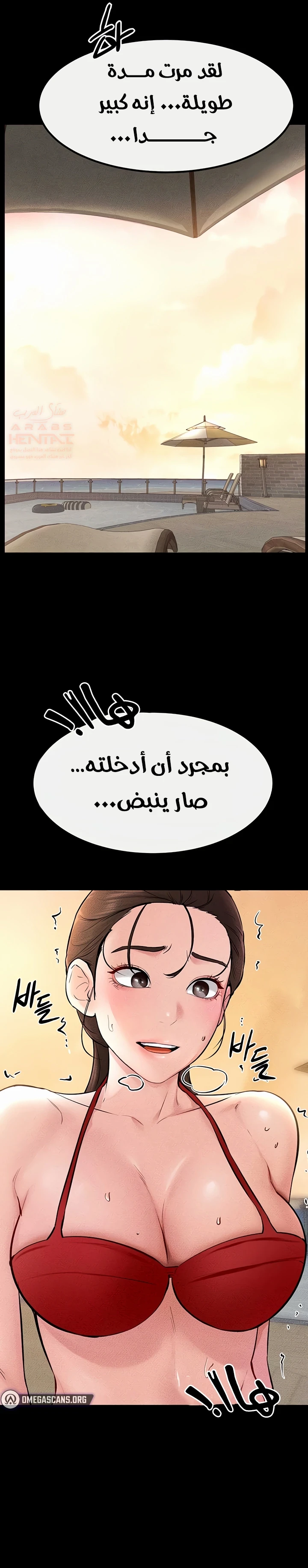 عائلة الميلف - 67 - 688e3f2e22ac2_DuDB.webp