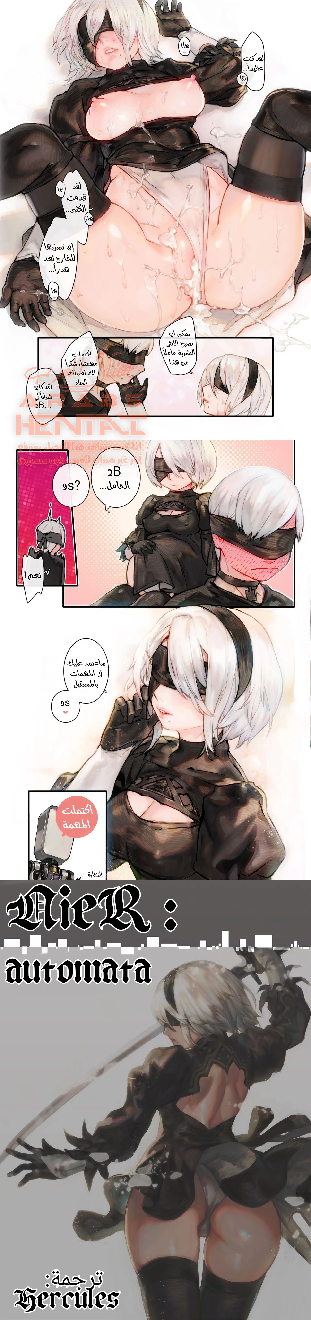 2B9S - 1 - 64fa0030c462b.webp