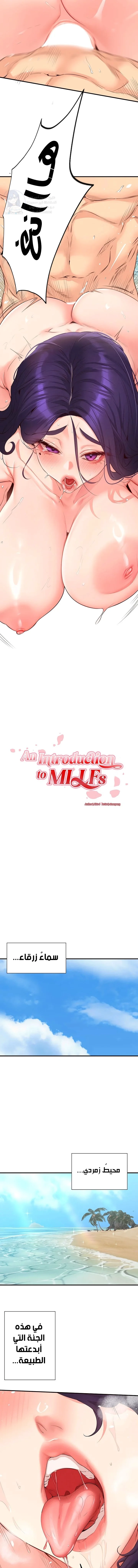 An Introduction to MILFs - 80 - 699422f29d96f.webp