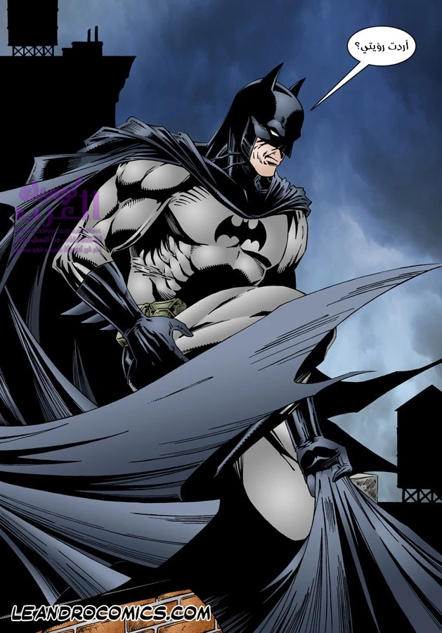 Batman & Catwoman - 1 - 65347c9c8dc6e.webp