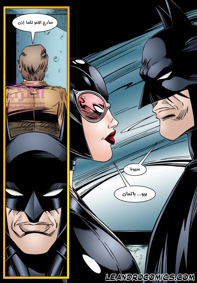 Batman & Catwoman - 1 - 65347c9dac62a.webp