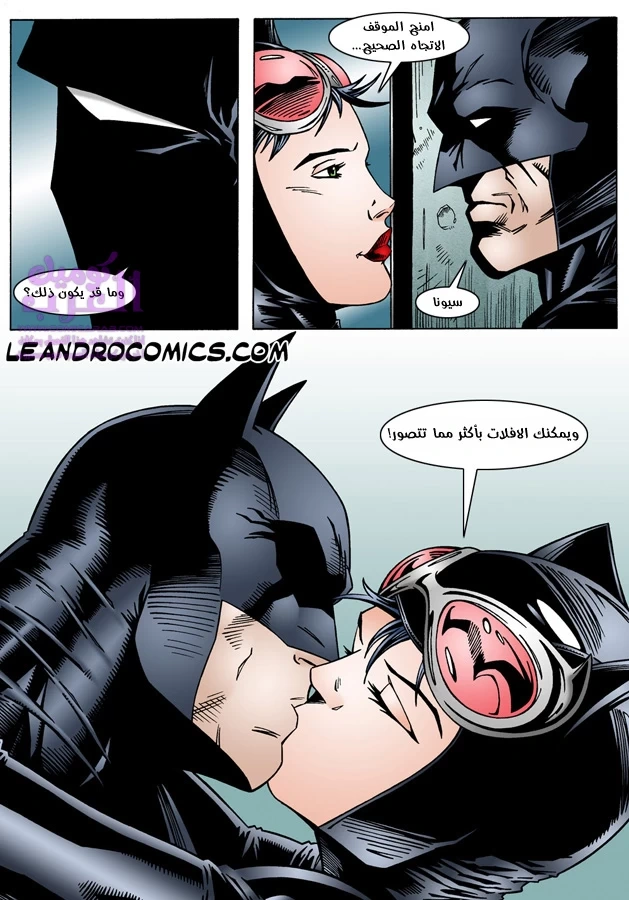 Batman & Catwoman - 1 - 65347c9e1867c.webp