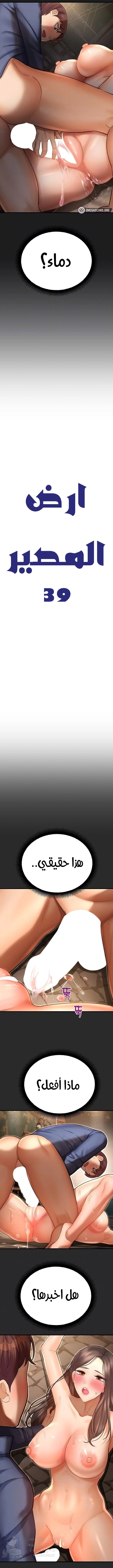 Destiny Land - 39 - 66455a15a3048.webp