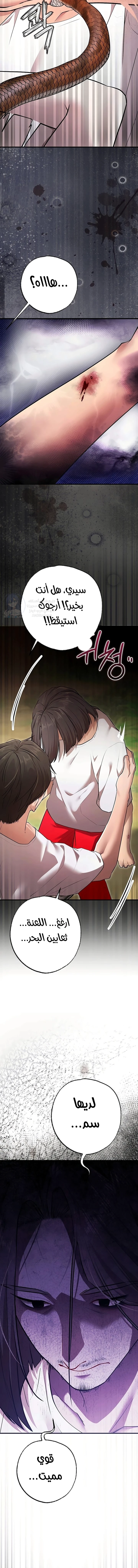 I Banged All My Classmates After Graduation - 3 - 6ab108480797a.webp