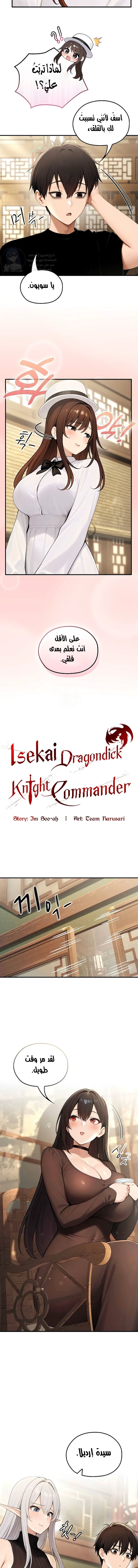 Isekai Dragondick Knight Commander - 80 - 69bd4bb99066a.webp