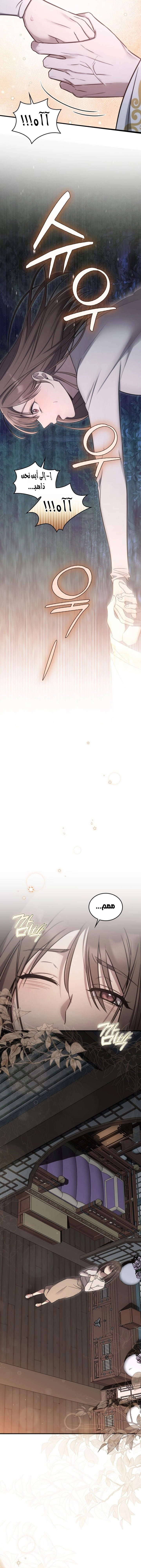 Island Without Shadows - 7 - 68052dc015c48.webp