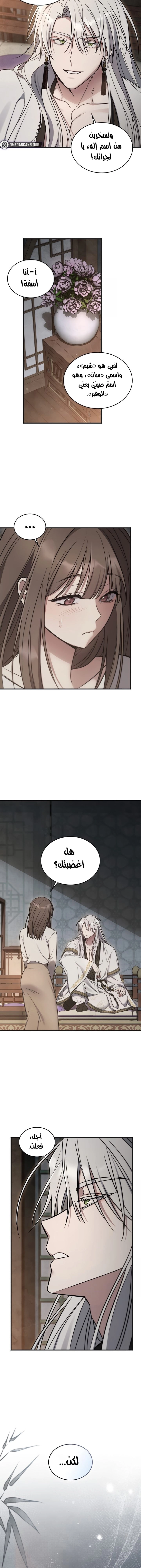 Island Without Shadows - 7 - 68052dc3bb3a7.webp
