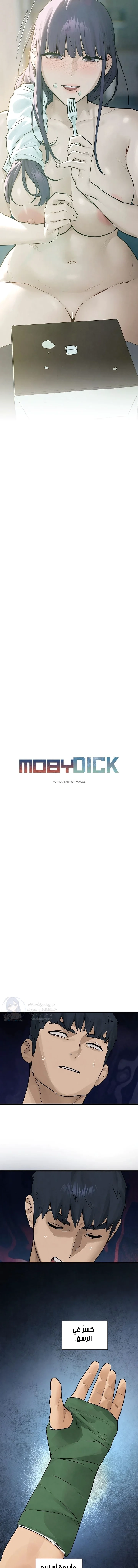 Moby Dick - 84 - 69ea297e0556a.webp
