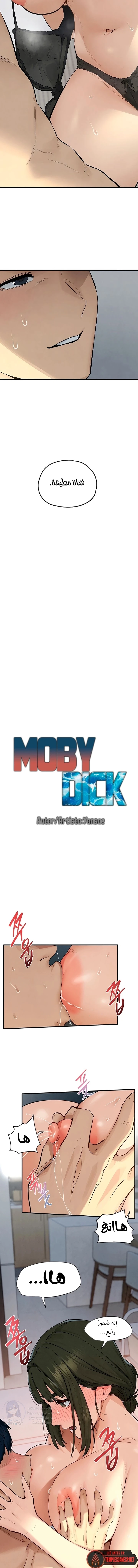 Moby Dick - 93 - 6a2e14b8ba721.webp
