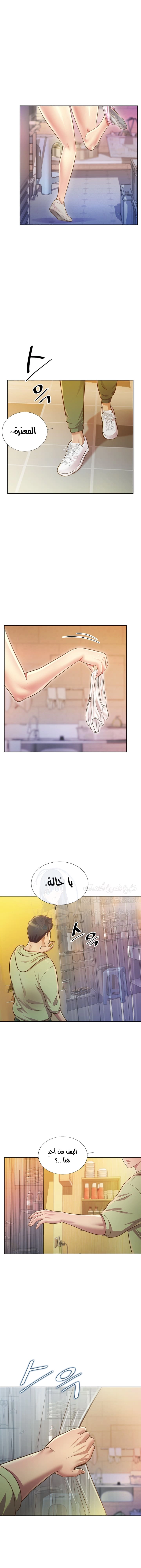 Noona’s Taste - 1 - 685b58dcb0e53.webp