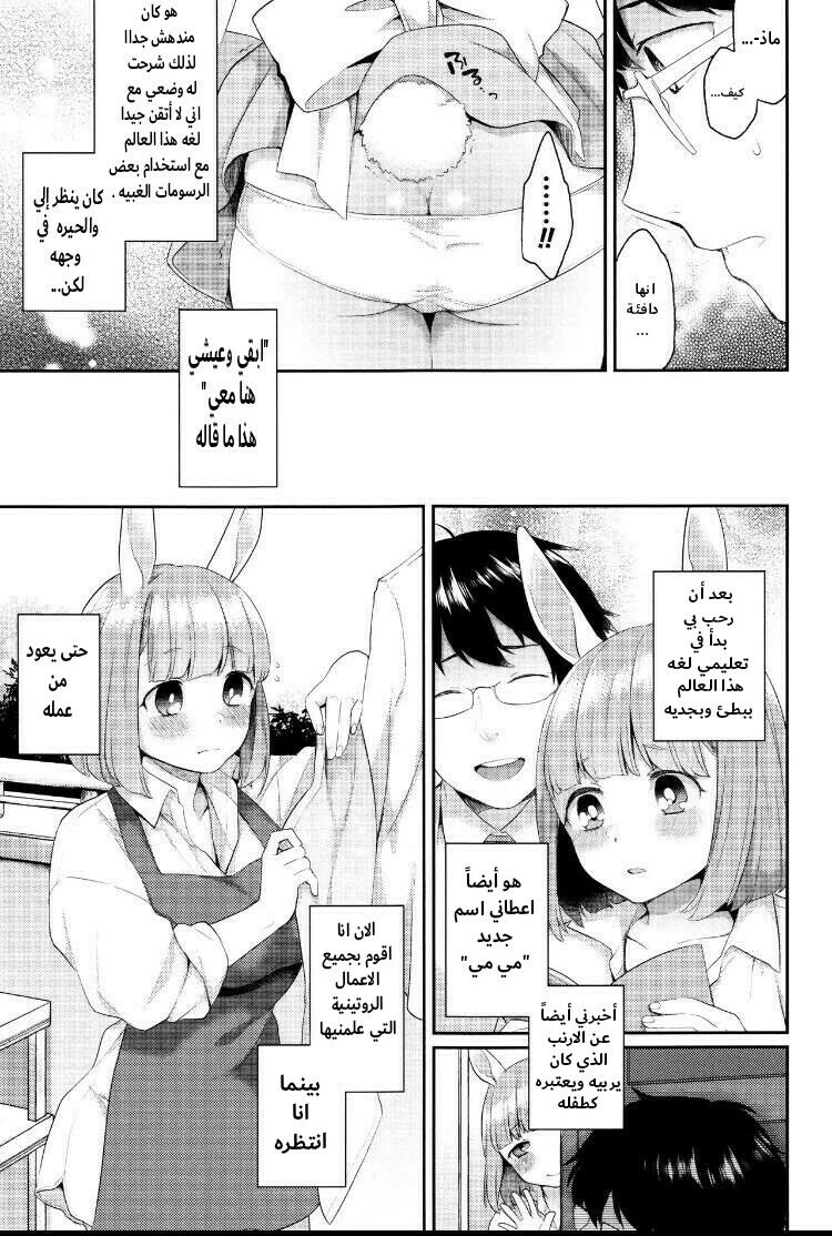 Rabbit Hole - 1 - 64f956efcb996.webp