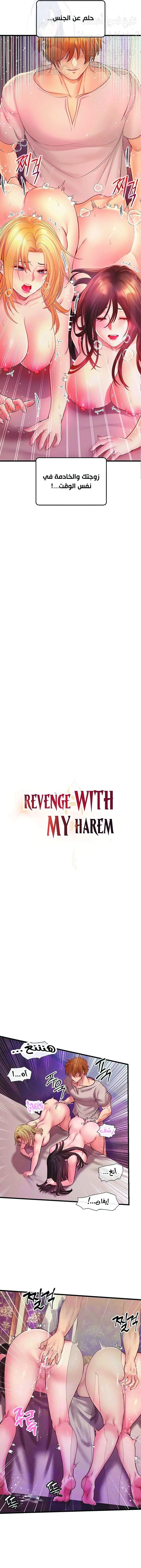 Revenge by Harem - 12 - 667beac1f2a45.webp