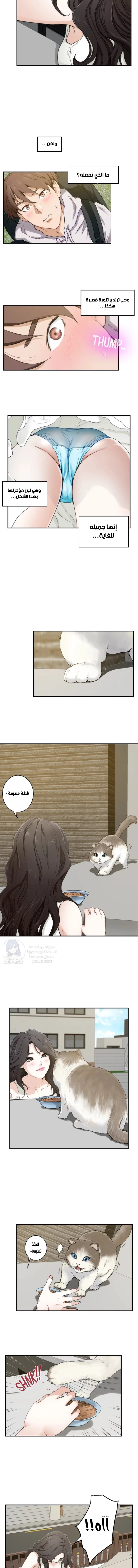 S-Mate - 2 - 6a60cf778f713.webp