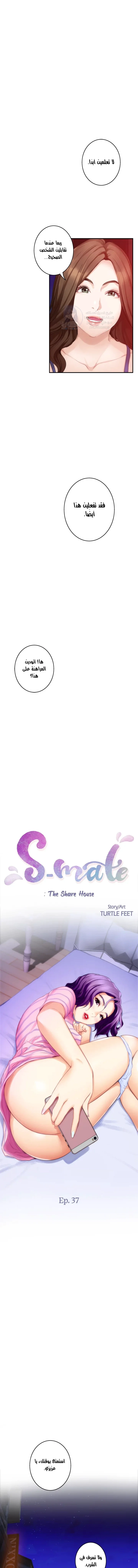 S-Mate - 37 - 6a60d0f336354.webp