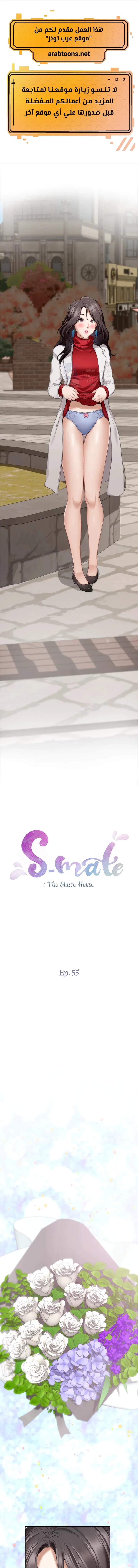 S-Mate - 55 - 6a7aef8f3f2c7.webp