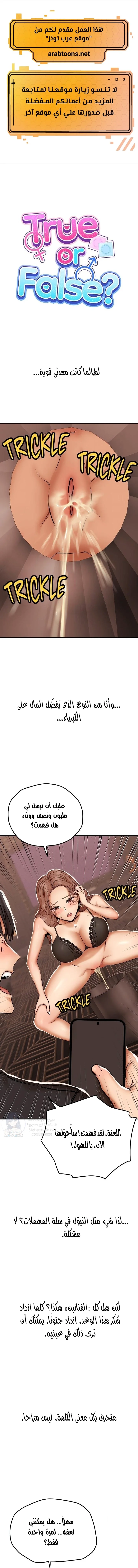 True or False? - 17 - 6a6602a9379c3.webp