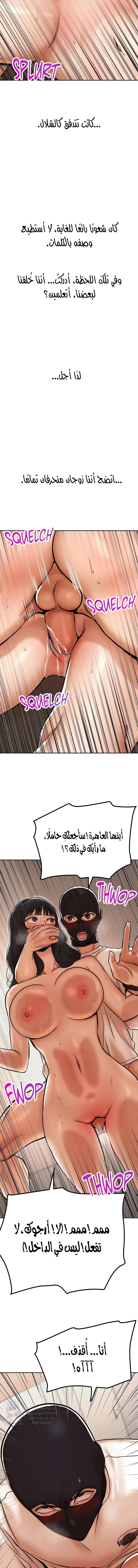 True or False? - 36 - 6a7af02a4ea2b.webp