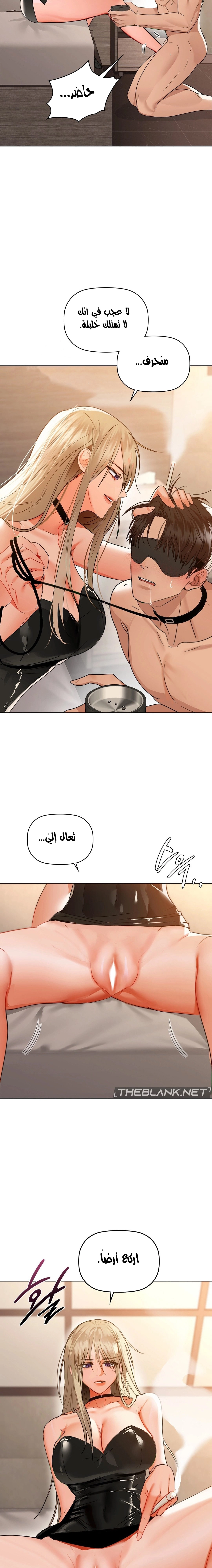 caffeine - 62 - 65c22cb7e2488.webp