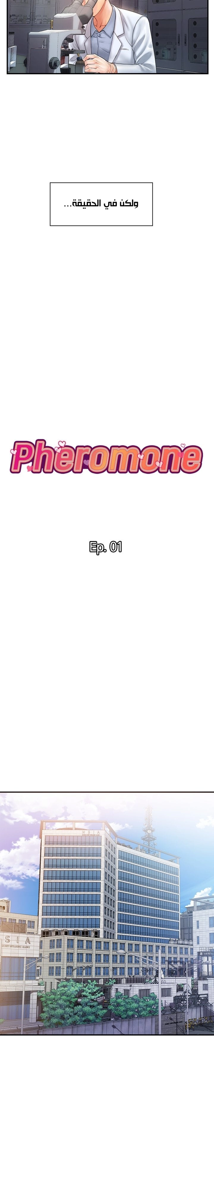 pheromone - 1 - 652d91681a85f.webp