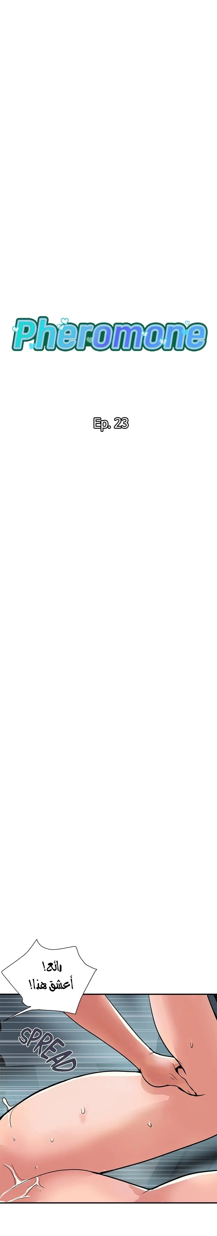pheromone - 23 - 652d9212631e3.webp