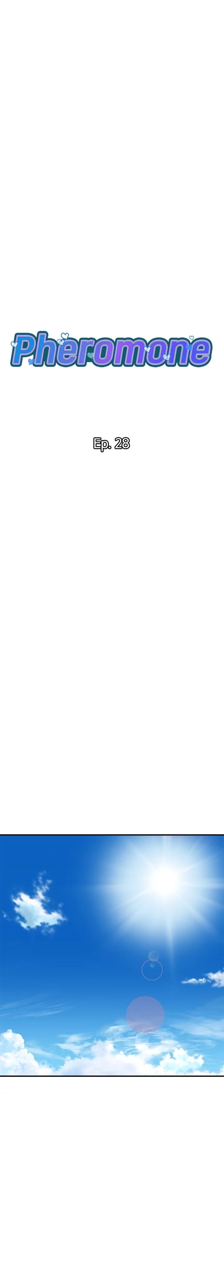 pheromone - 28 - 652d92b8ab8a8.webp