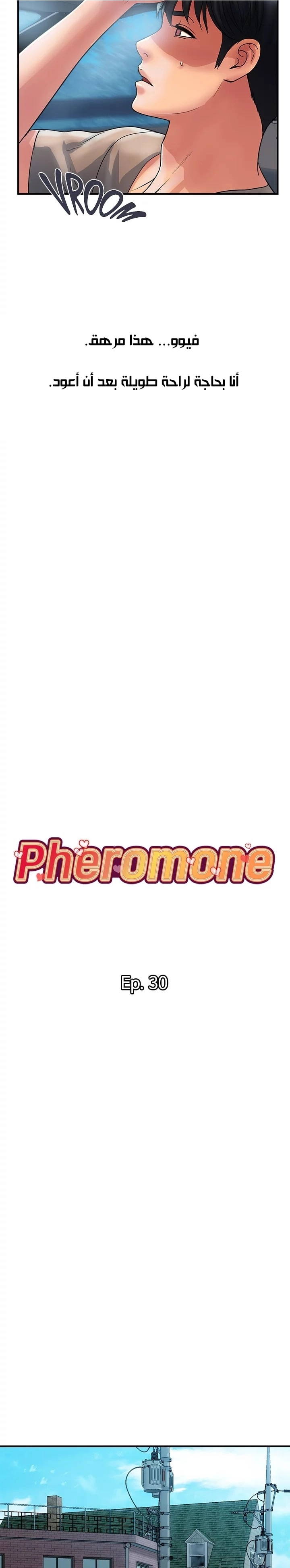 pheromone - 30 - 652d92c7f17c7.webp