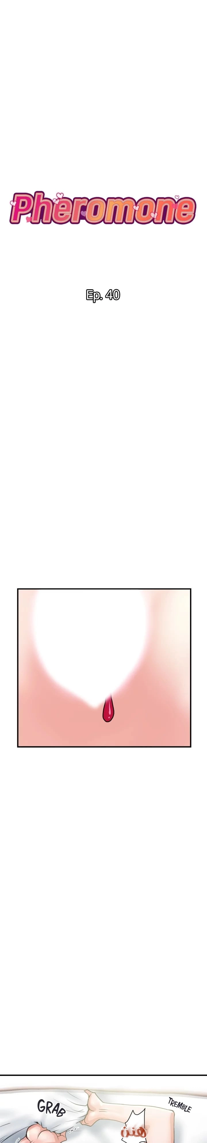 pheromone - 40 - 652d93148bdad.webp