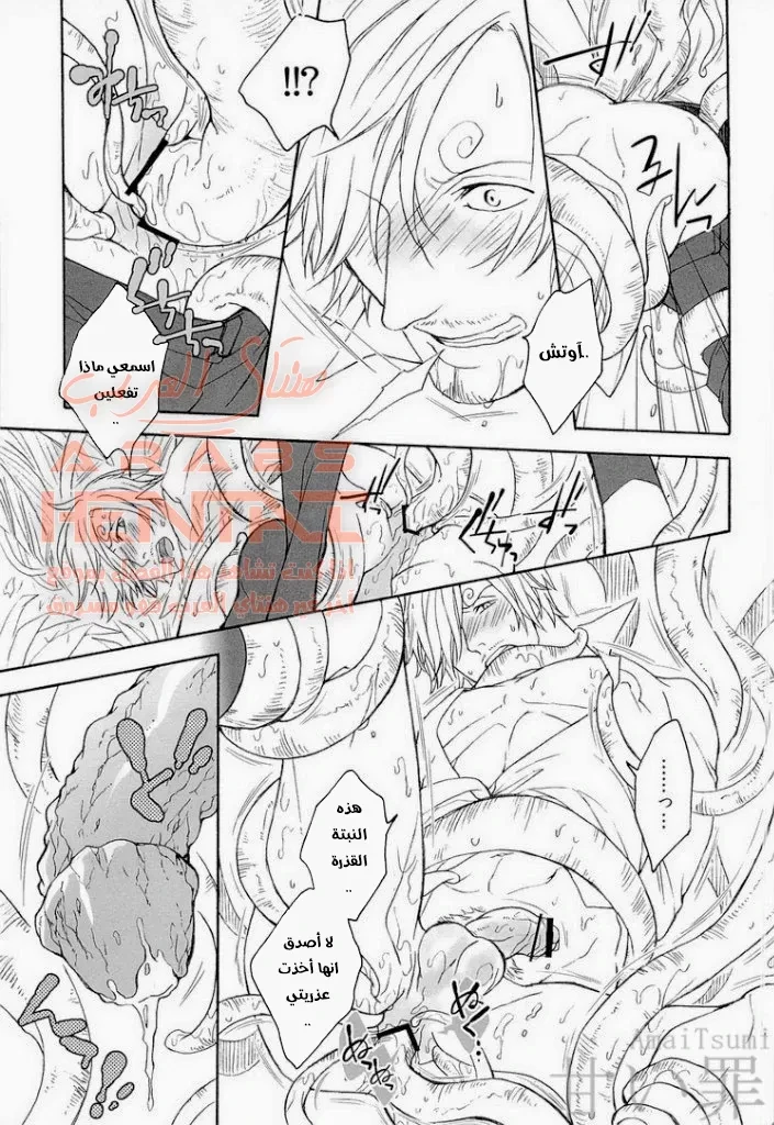 zoro and sanji - 1 - 64fabaa356a4b.webp