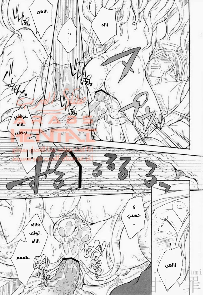 zoro and sanji - 1 - 64fabaa45f41a.webp