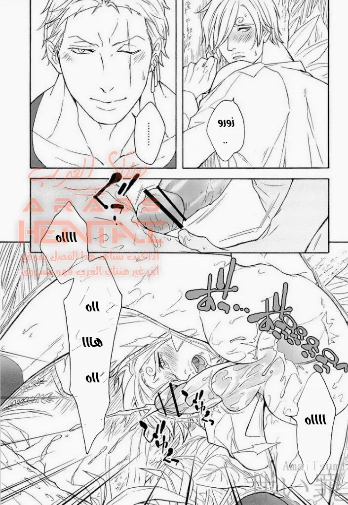 zoro and sanji - 1 - 64fabaa6bcac2.webp