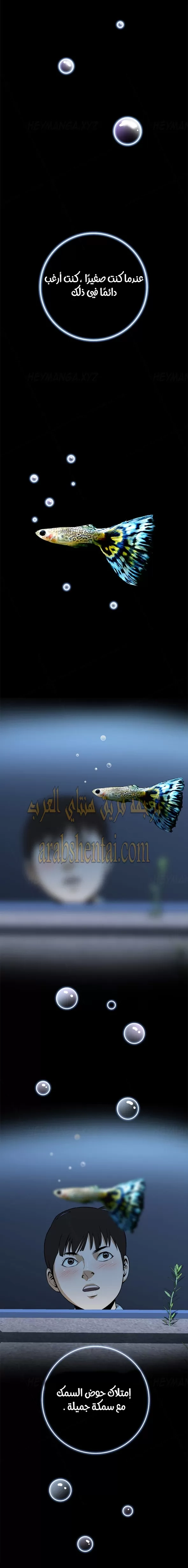 ألقي نظرة - 1 - 652bf725848e0.webp