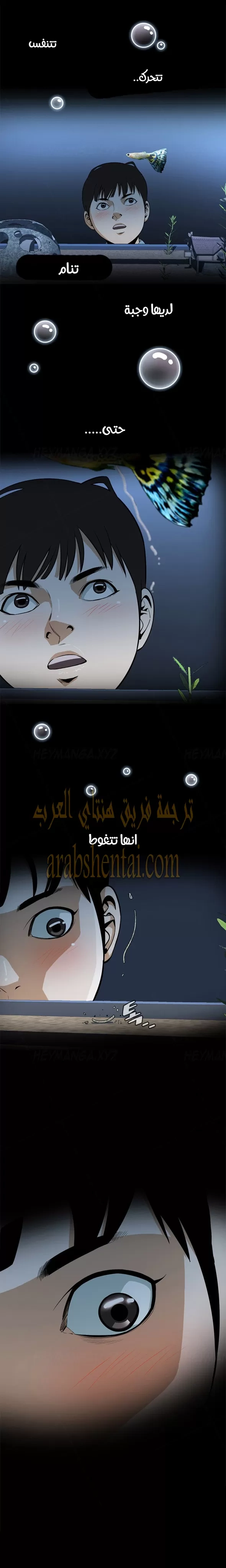 ألقي نظرة - 1 - 652bf72649468.webp