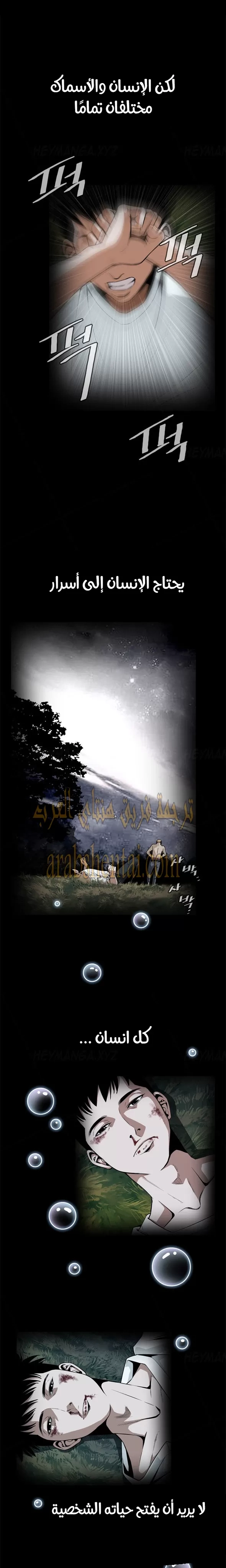 ألقي نظرة - 1 - 652bf72bea838.webp