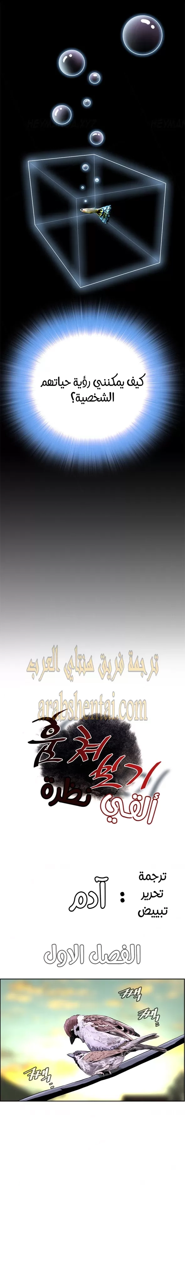 ألقي نظرة - 1 - 652bf72d6cc25.webp