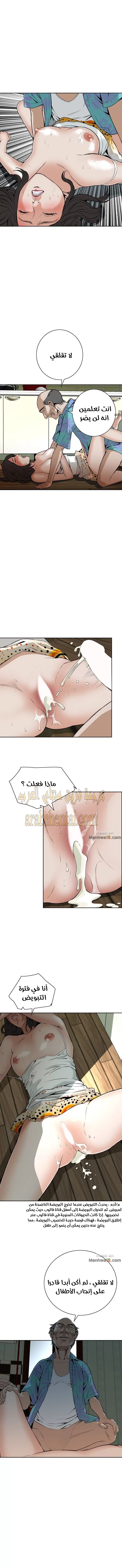 ألقي نظرة - 12 - 652bf82b37356.webp