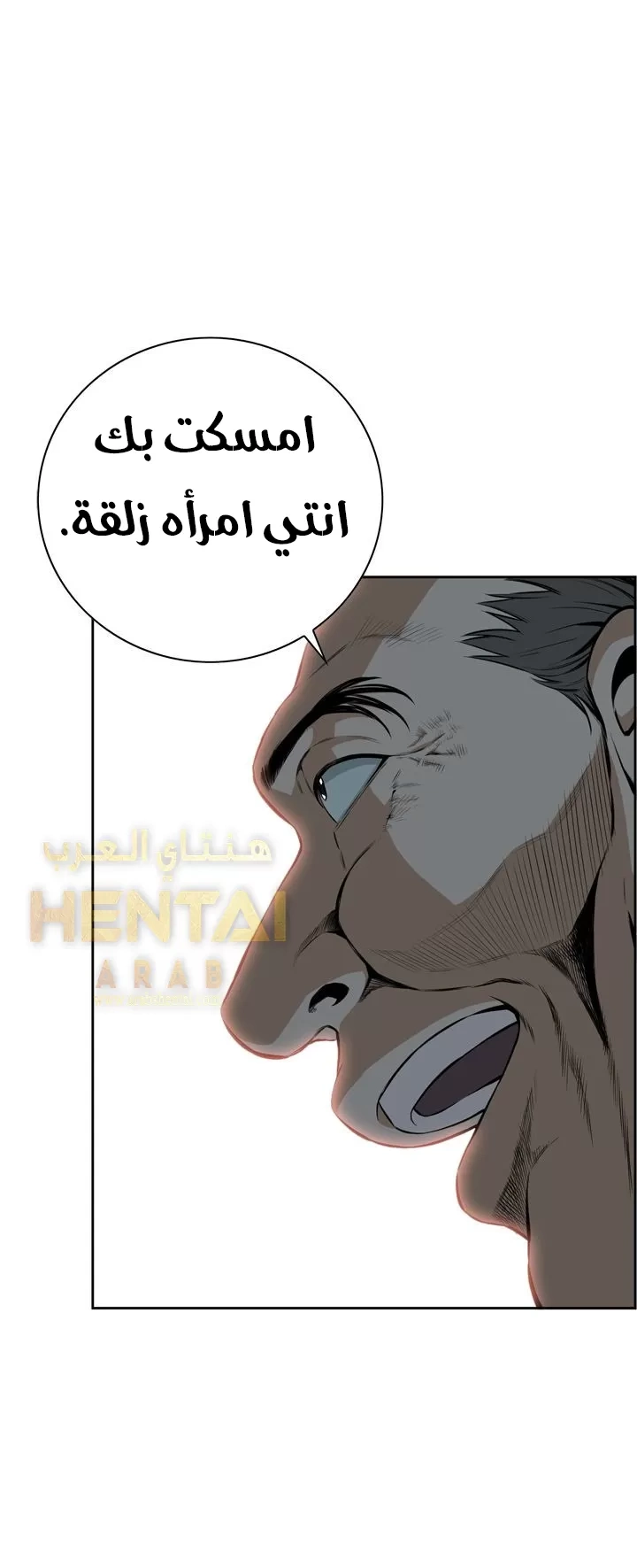 ألقي نظرة - 15 - 652bf886e6313.webp
