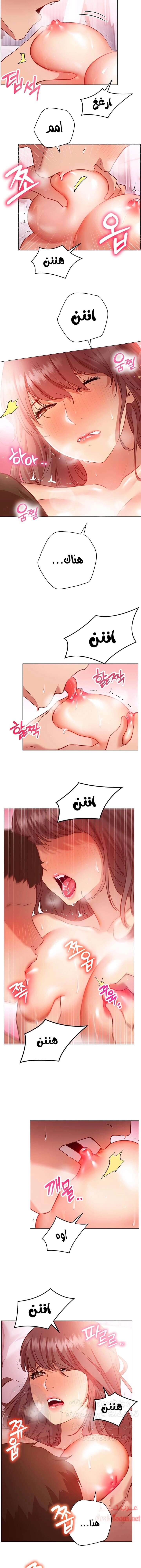 البداية الجديدة - 13 - 652d8d76b2af4.webp