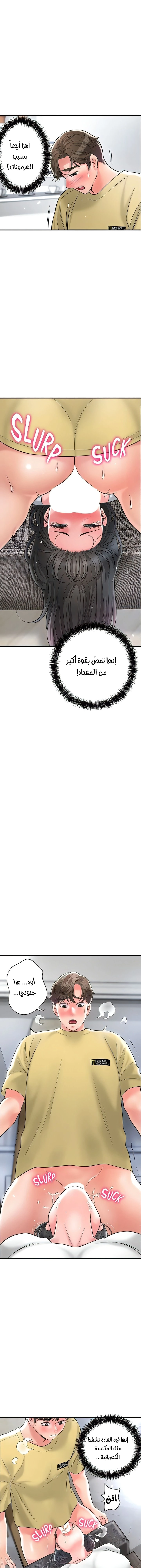 البلدة الجديدة - 95 - 6531f32b3e41c.webp