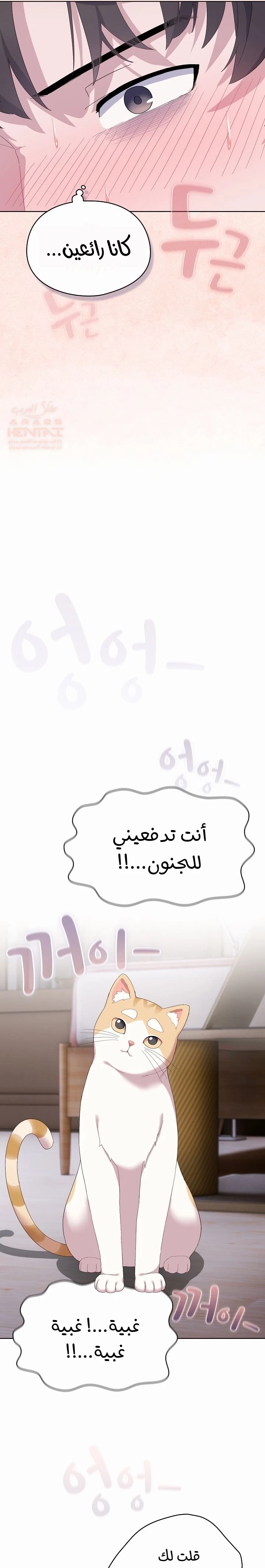 الجنرال أتى! - 2 - 688295945f332_uEWb.webp