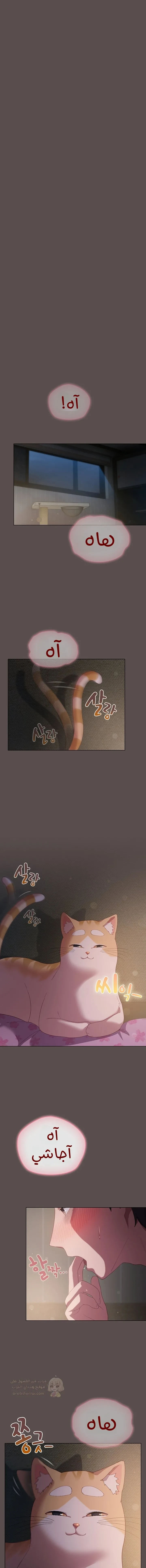 الجنرال أتى! - 7 - 689d0827137b3_gz1V.webp