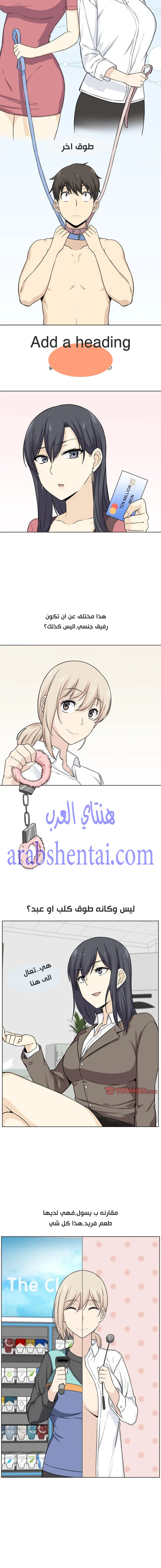 المعذرة, هذه غرفتي - 21 - 6529444369dd8.webp