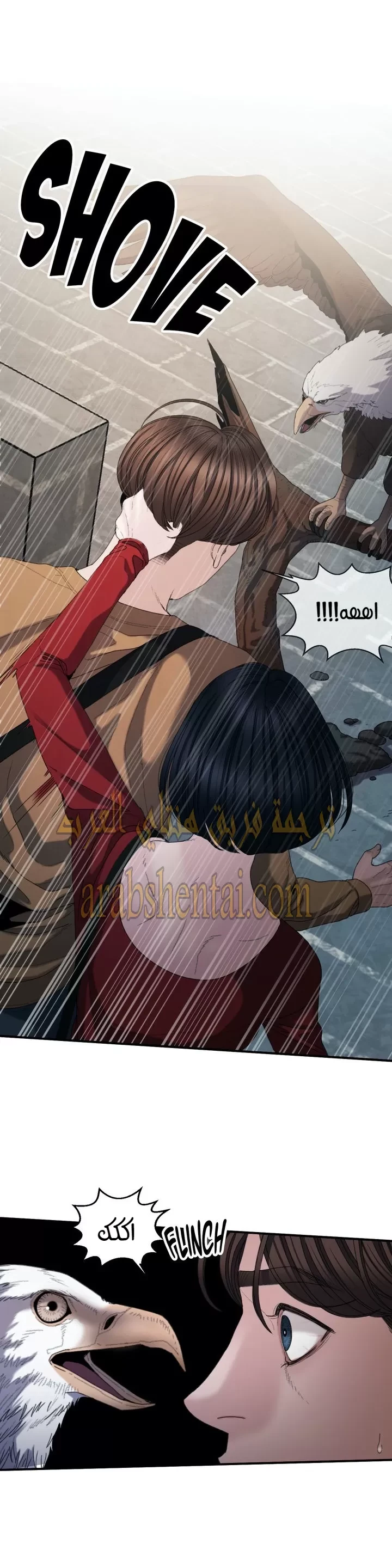 المفترس الجمالي - 15 - 64f9edb425806.webp
