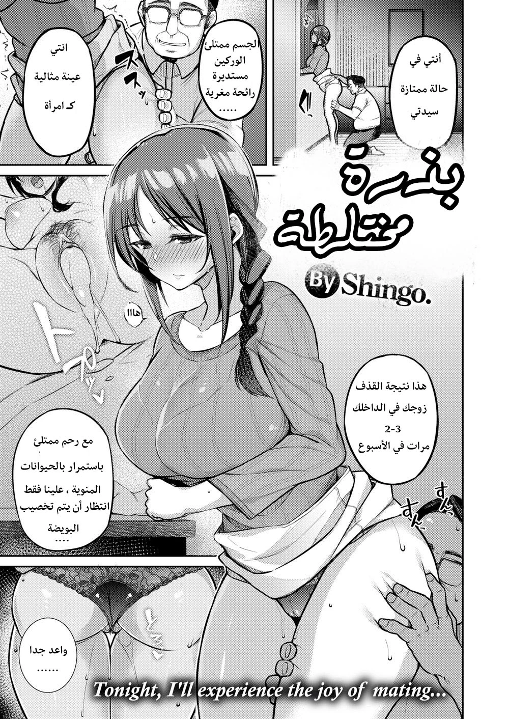 بذرة مختلطة - 1 - 64f95d087ec6a.webp