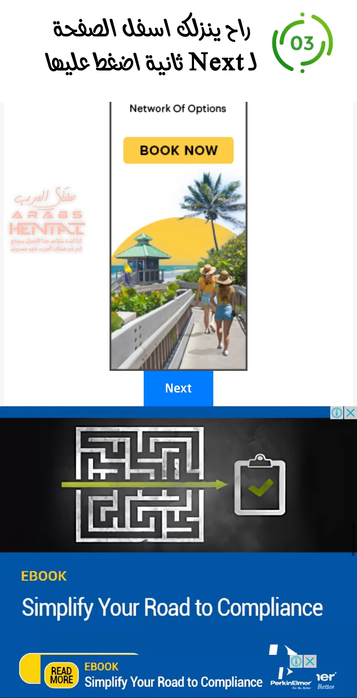 بوروتو وهانابي العاهرة - 1 - 64fa95572a90f.webp