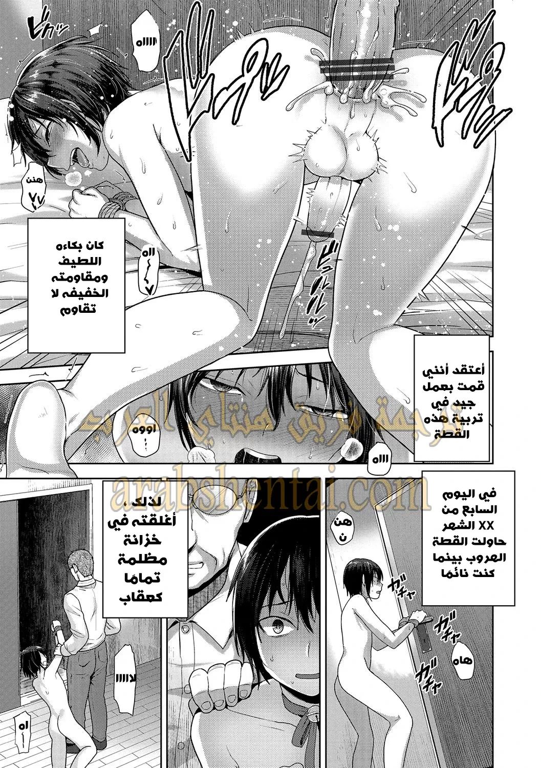 تدريب قط شارد - 1 - 64f9f26a96fad.webp