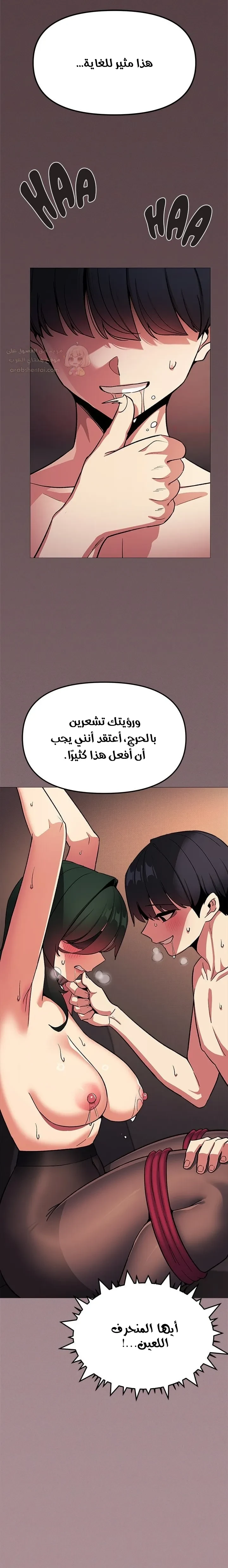 توقف عن التدخين - 82 - 6998d0c83bc05_rzrx.webp