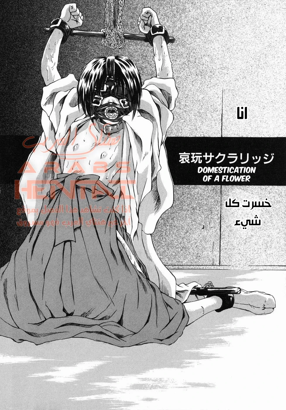 حتى الوردة تموت - 1 - 64fab0874fc7c.webp