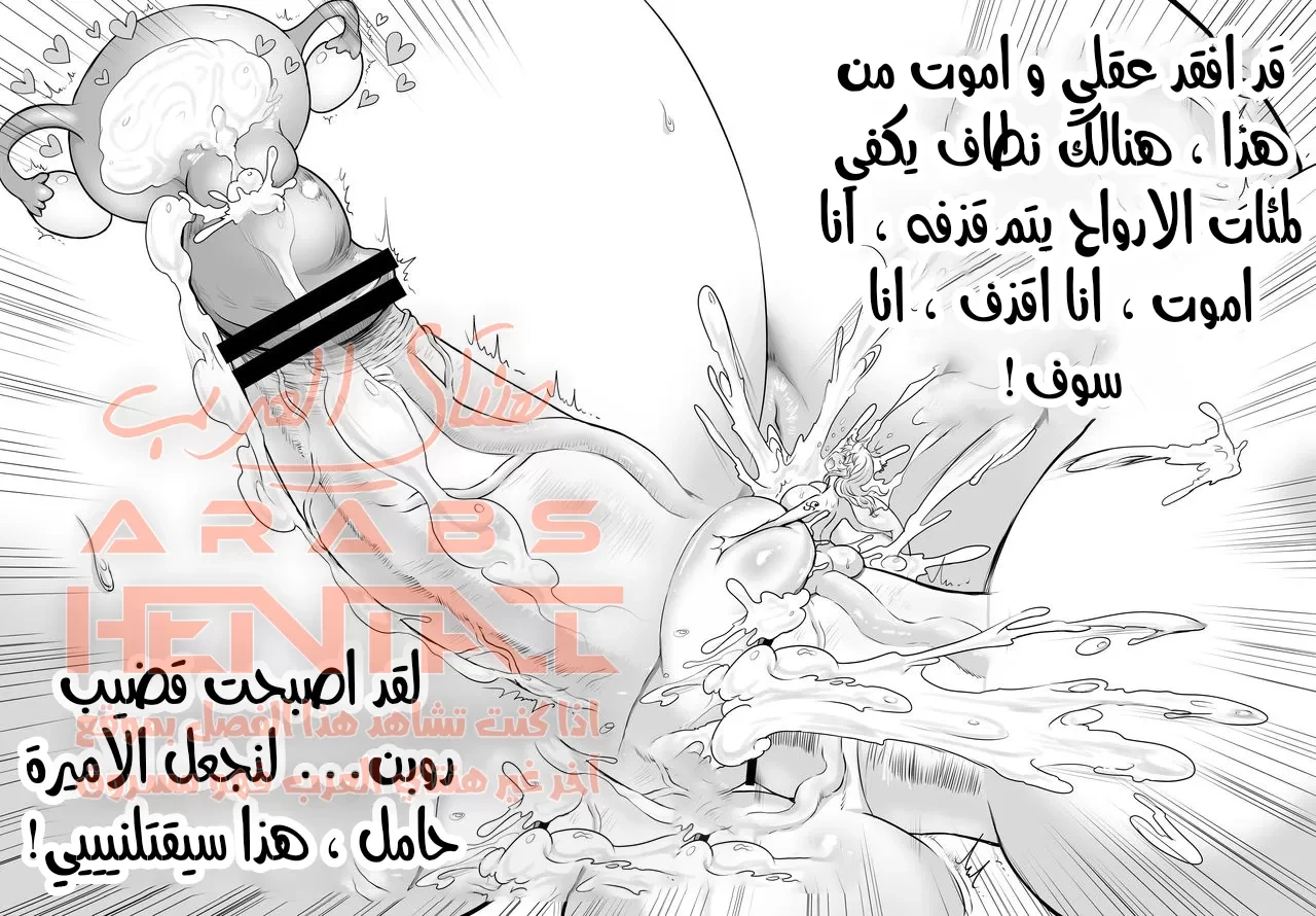 روبن و نامي الفوتا - 1 - 64fae6ecda3ae.webp