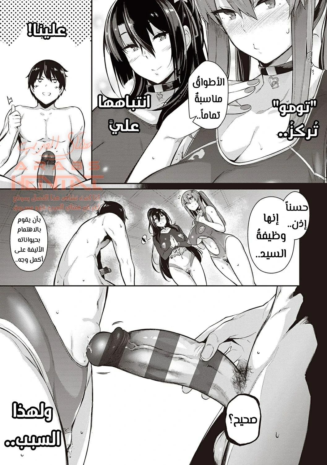 زهرات منزل تاكاميني - 6 - 64fa912a21421.webp