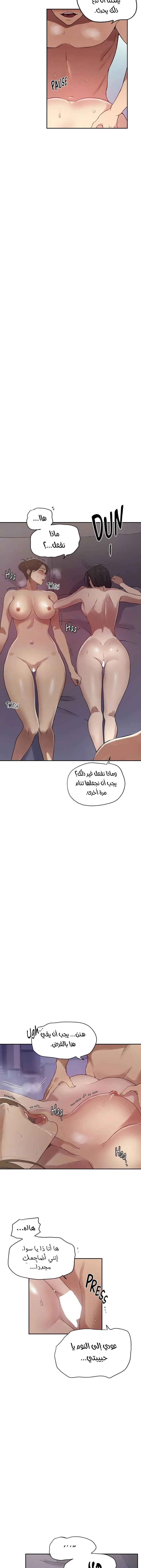 فصل سري - 247 - 67a612ae530ed.webp